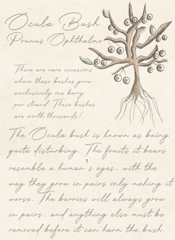 Fantastical Botany Book